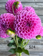 Load image into Gallery viewer, Blush &amp; Pink Collection, 4 Tubers-coming 3/6, free shipping!