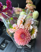 Load image into Gallery viewer, Bloomquist Alan, 1 Tuber-coming 3/6, free shipping!