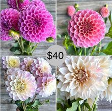 Load image into Gallery viewer, Blush &amp; Pink Collection, 4 Tubers-coming 3/6, free shipping!