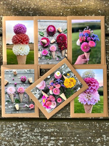 Greeting Cards Dahlia Ice-Cream Cone Set, 12 total - Includes Shipping