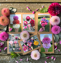Load image into Gallery viewer, Greeting Cards Dahlia Ice-Cream Cone Set, 12 total - Includes Shipping