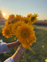 Load image into Gallery viewer, PROJECT:GROW! (Market PickUp)