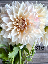 Load image into Gallery viewer, CAFE AU LAIT, 1 TUBER - coming 3/8, free shipping!