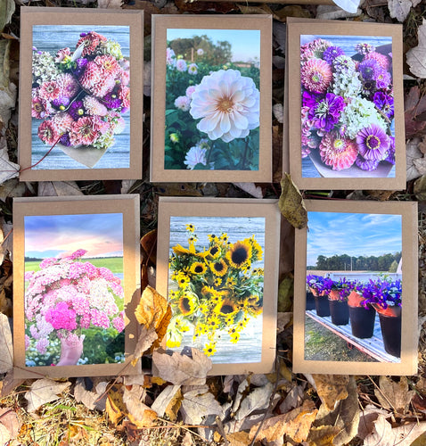 Greeting Card Mix, 18 total - Includes Shipping